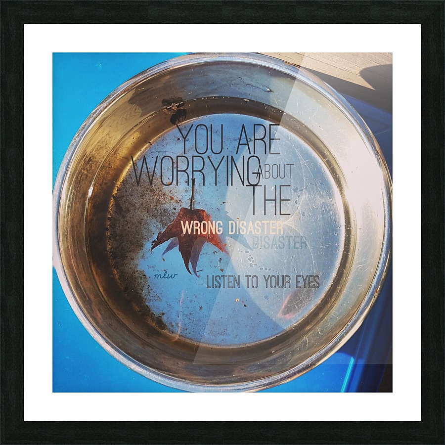 Vision Picture Frame print
