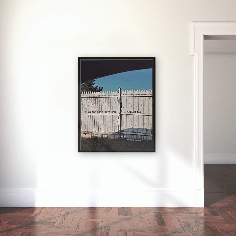 Whitewash Reproduction