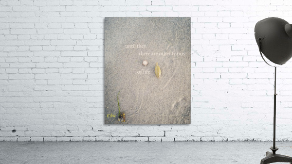 Interim Wall Preview