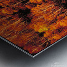 autumn foliage Metal print