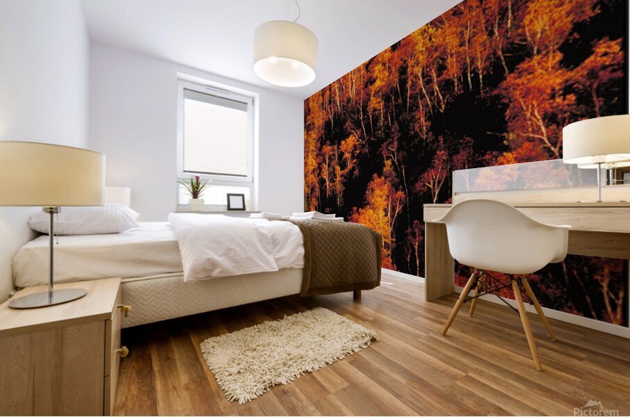 autumn foliage Mural print