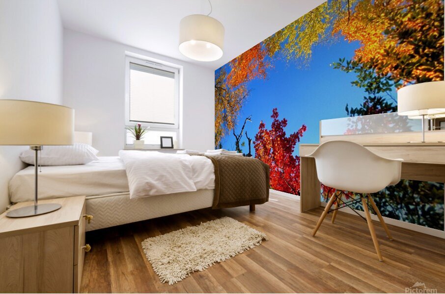 trees and sky Mural print
