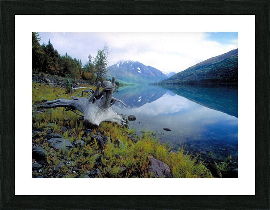 bashful peak2 Picture Frame print