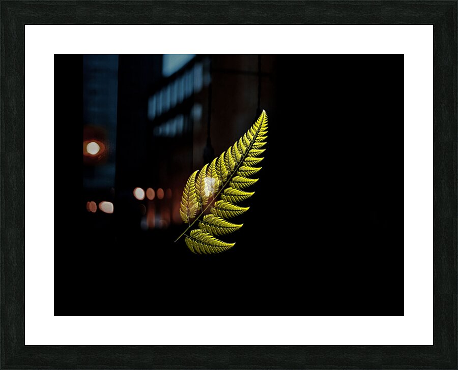 Fern Picture Frame print