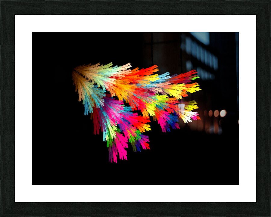fan Picture Frame print