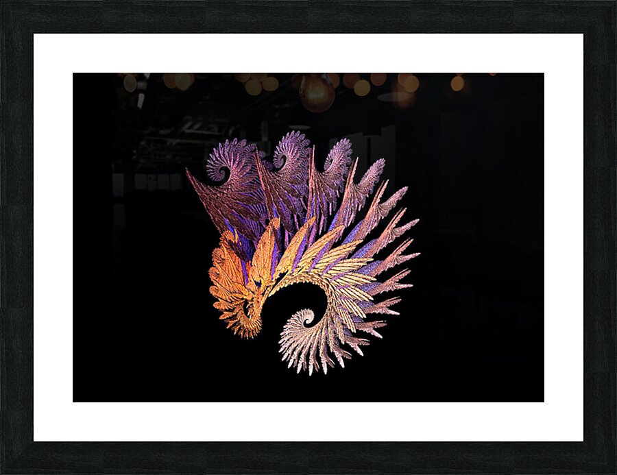 Eagle Picture Frame print