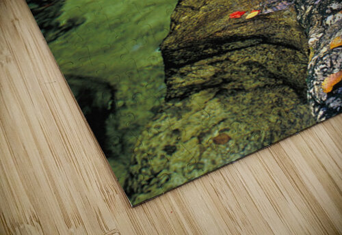 cold river Clifford Beck puzzle