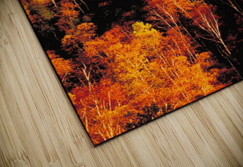 autumn foliage Clifford Beck puzzle