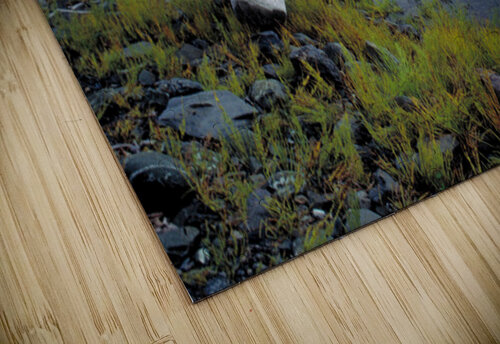 bashful peak2 Clifford Beck puzzle