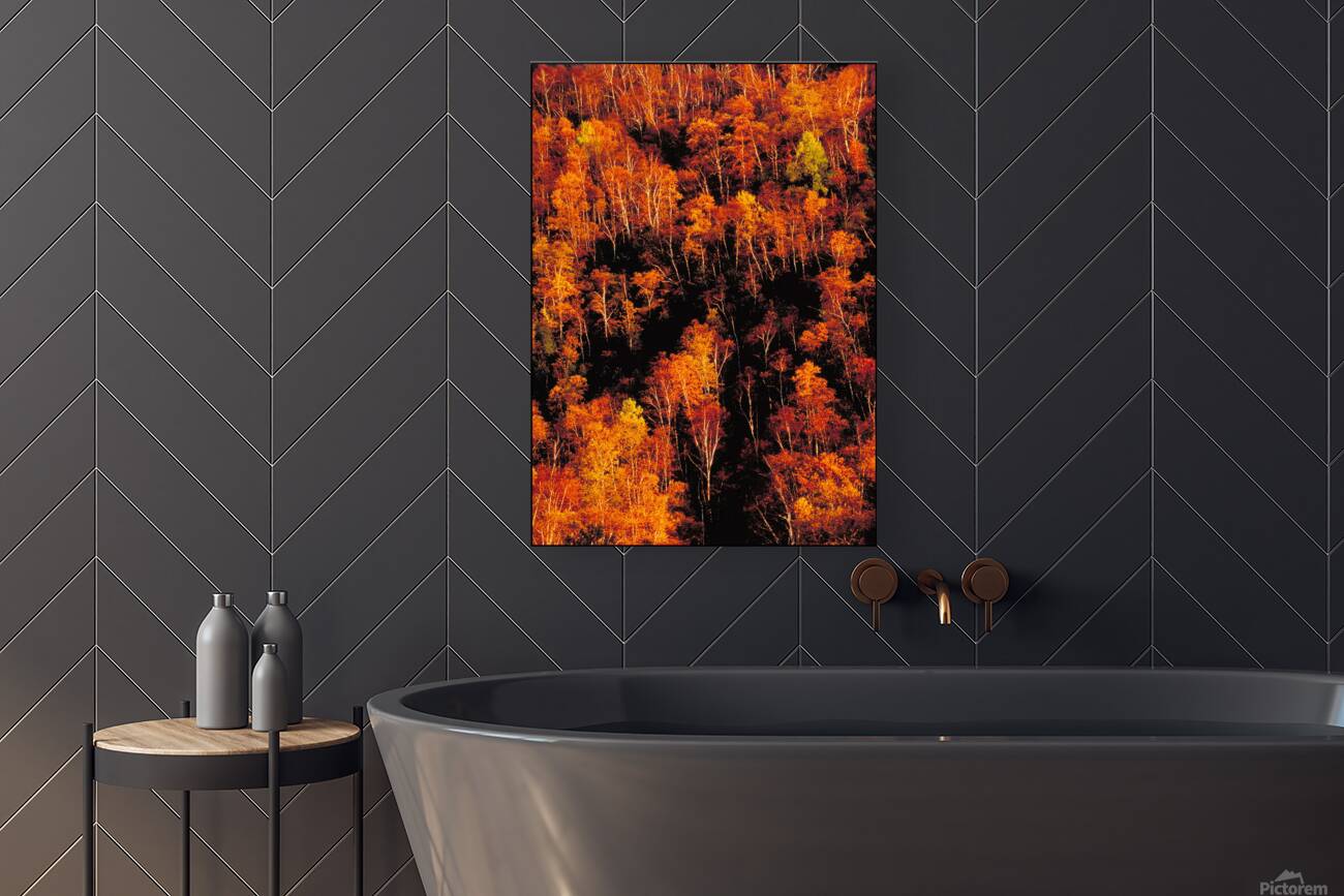 autumn foliage Reproduction