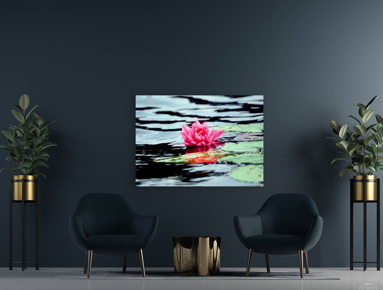 water lilly Reproduction