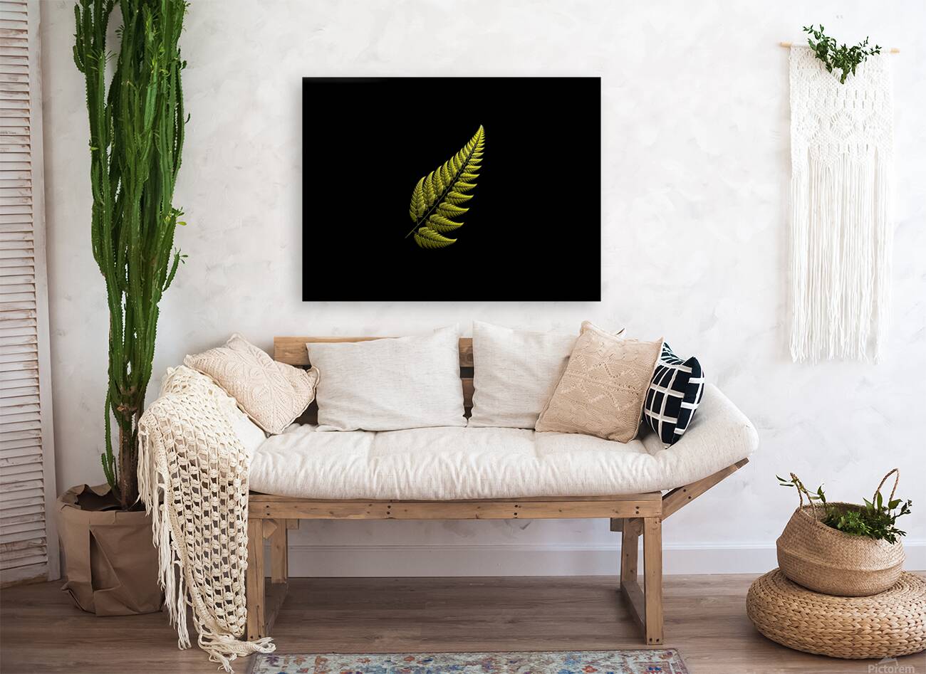 Fern Reproduction