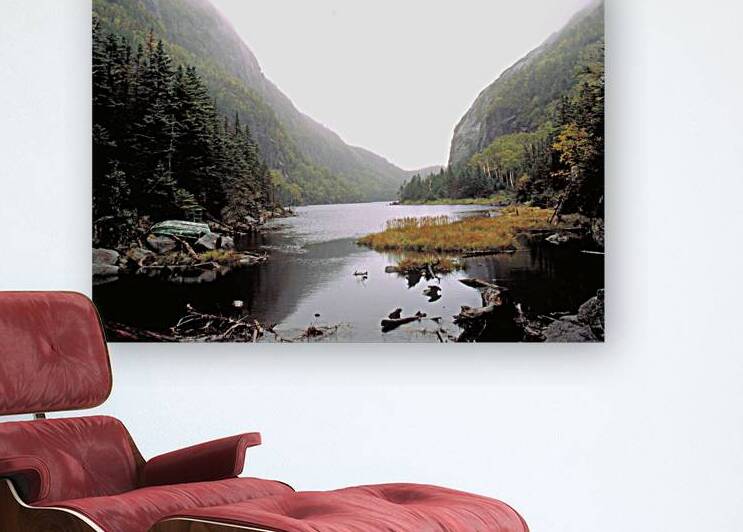 avalanche pass Reproduction