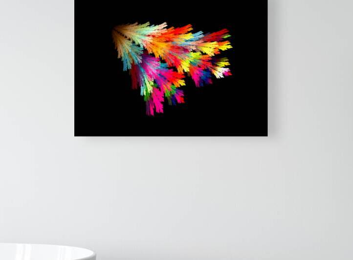 fan by Clifford Beck