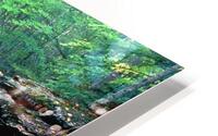 cold river HD Metal print