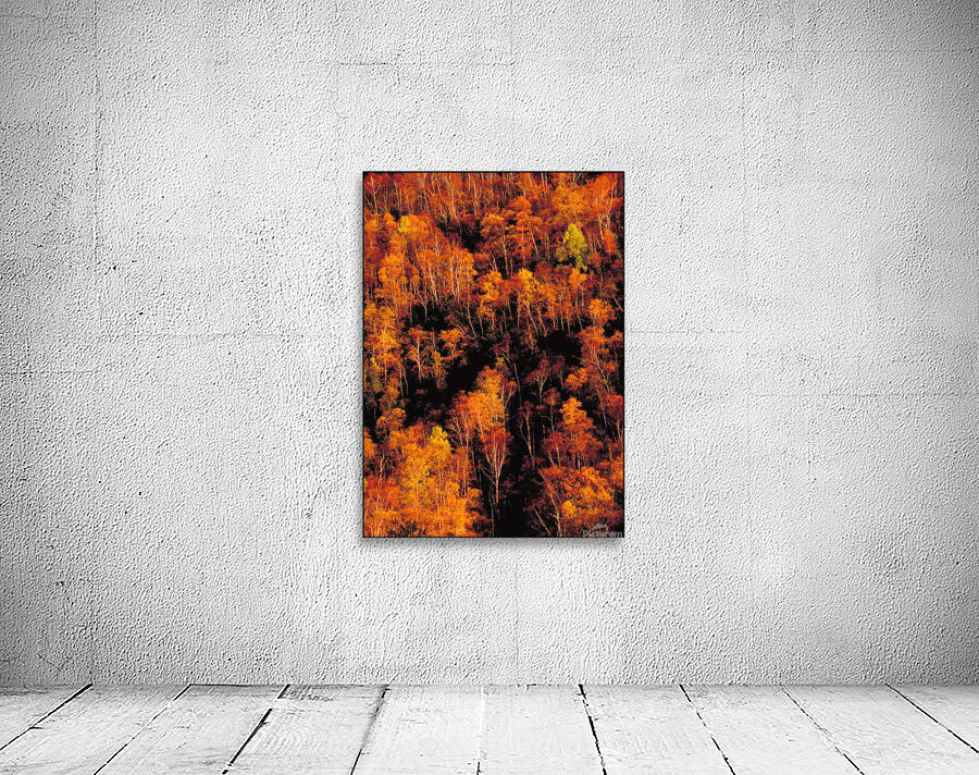 autumn foliage Wall Preview