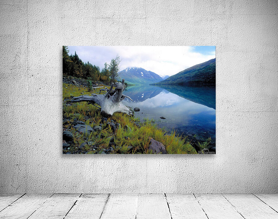 bashful peak2 Wall Preview