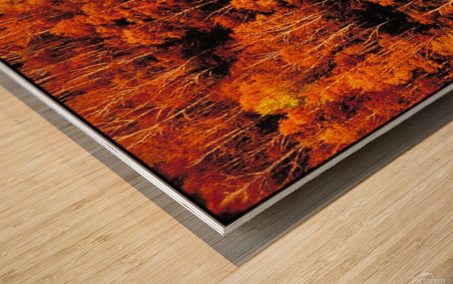 autumn foliage Wood print