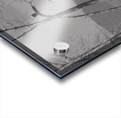 Bald Eagle watching Farm Acrylic print