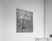 Bald Eagle watching Farm Acrylic Print