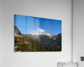 Mt. Rainier in the Fall Acrylic Print