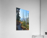 The Mountains are Calling Acrylic Print
