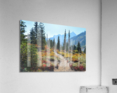 Path to the Mountains Acrylic Print