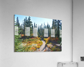 Pathway in the Forest Acrylic Print