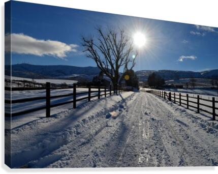 Frozen Homestead Canvas Print