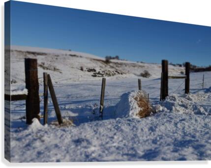 Frozen Fences Canvas Print