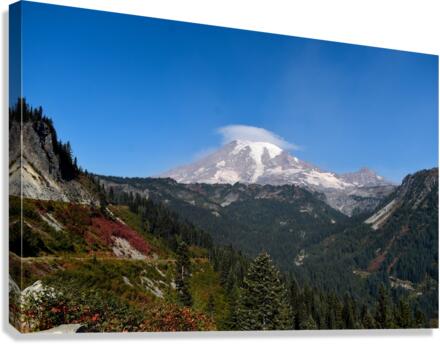 Mt. Rainier in the Fall Canvas Print