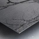 Bald Eagle watching Farm Metal print