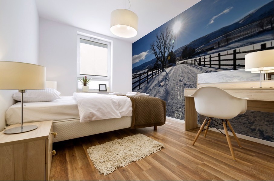 Frozen Homestead Mural print