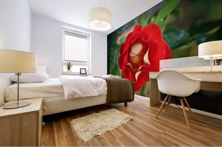 Budding Rose Mural print