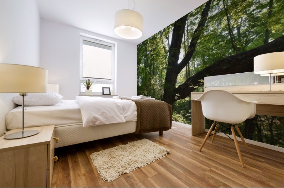 Firmly Rooted Mural print