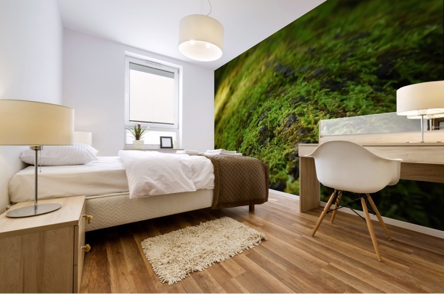Mossy Log Mural print