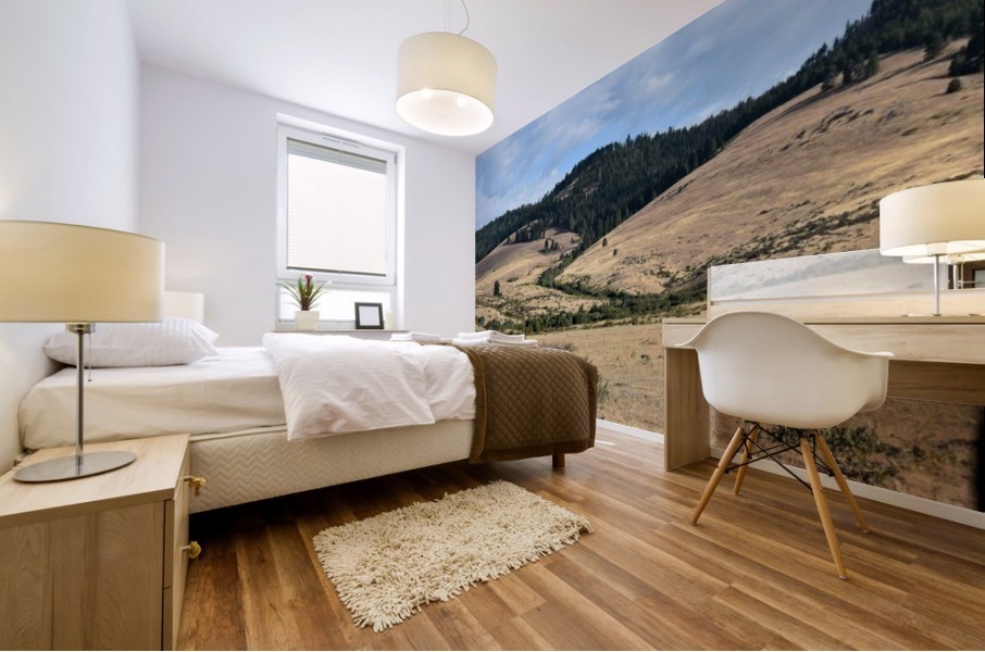 Western Valley Mural print