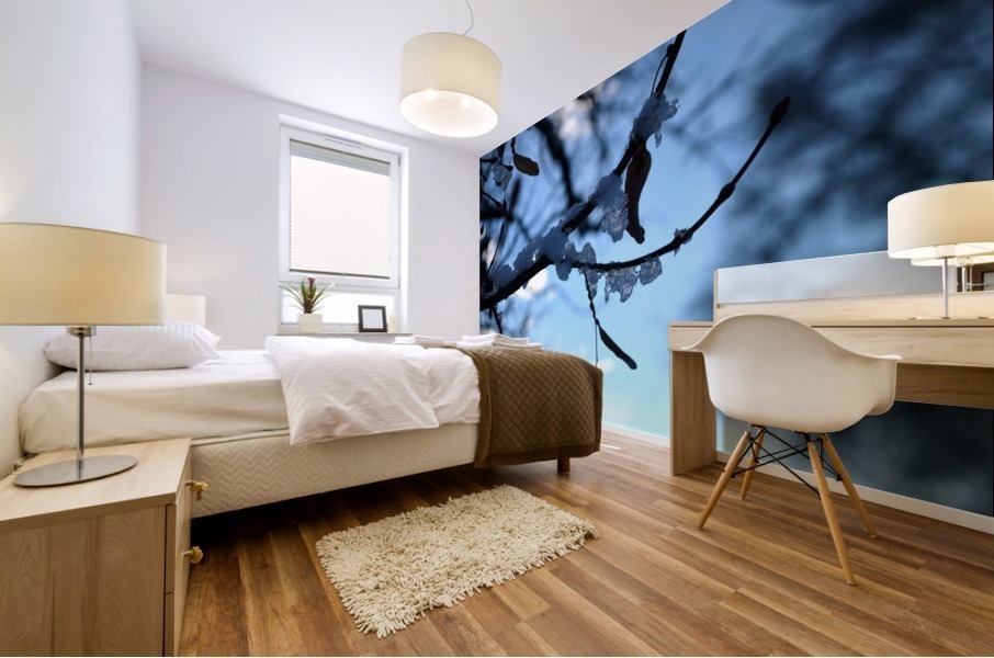 Frozen in Time Mural print