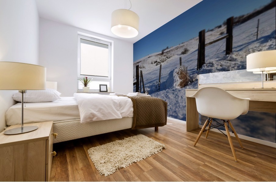 Frozen Fences Mural print
