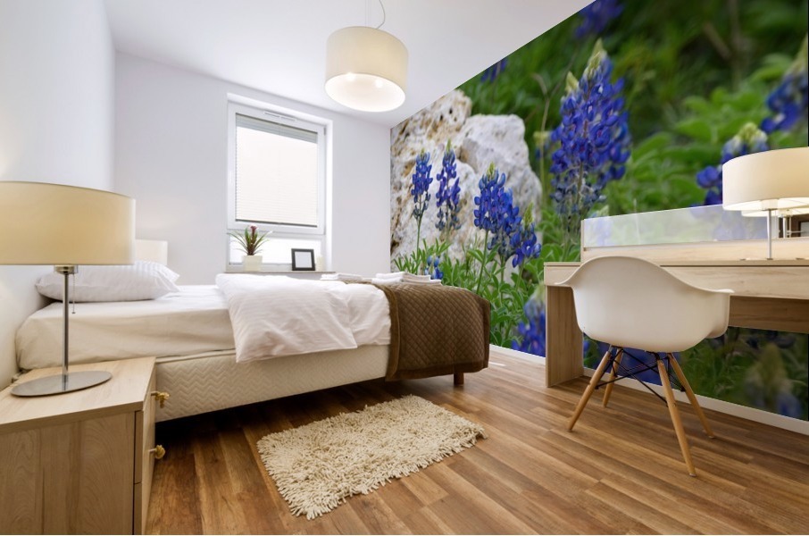 Texas Bluebonnets Mural print