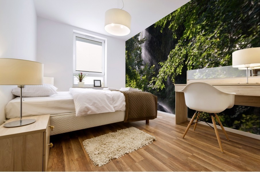 Hidden Waterfall Mural print