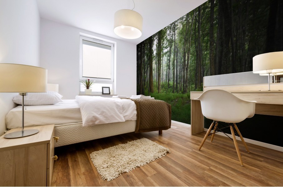 Into the Woods Mural print