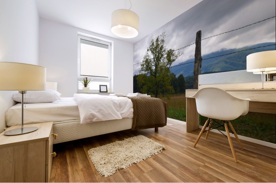 Open Range Mural print