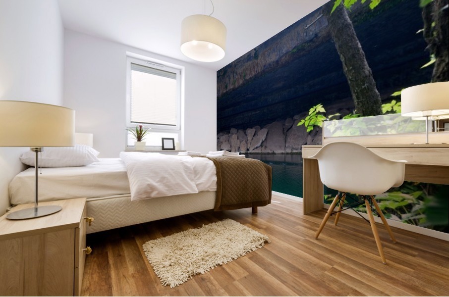 Hidden Waters Mural print