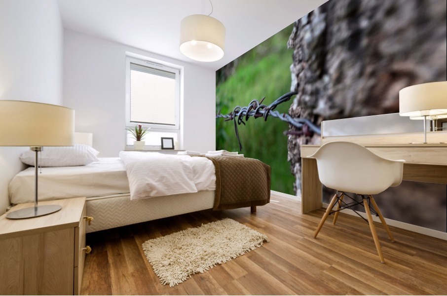 Barbed wire Mural print
