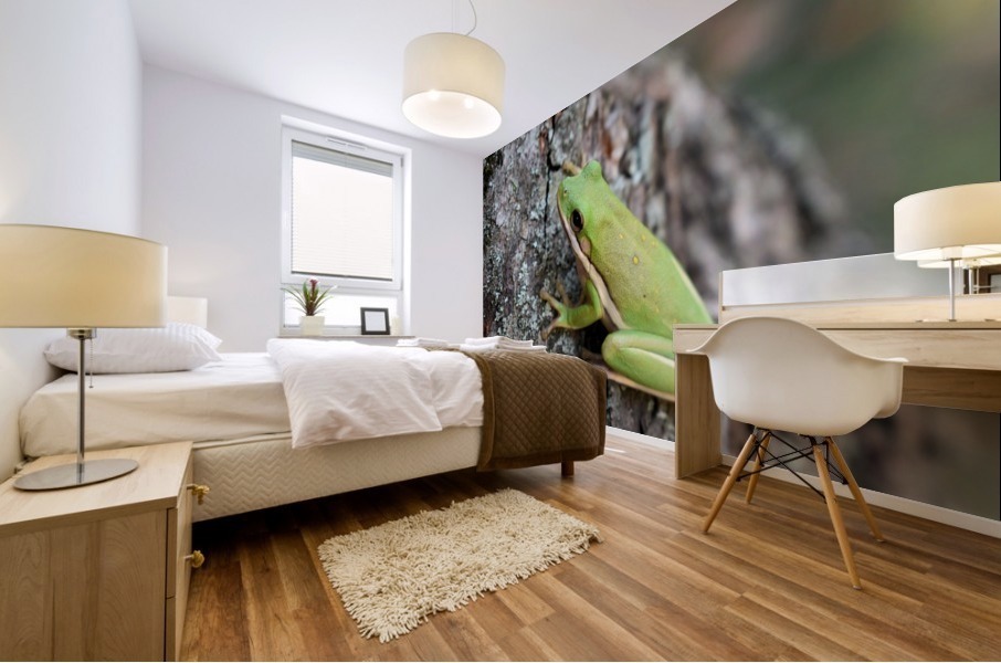 Green Tree Frog Mural print