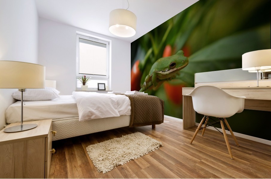 Garden Frog Mural print