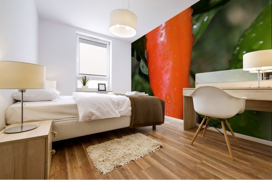 Orange Chili Pepper Mural print