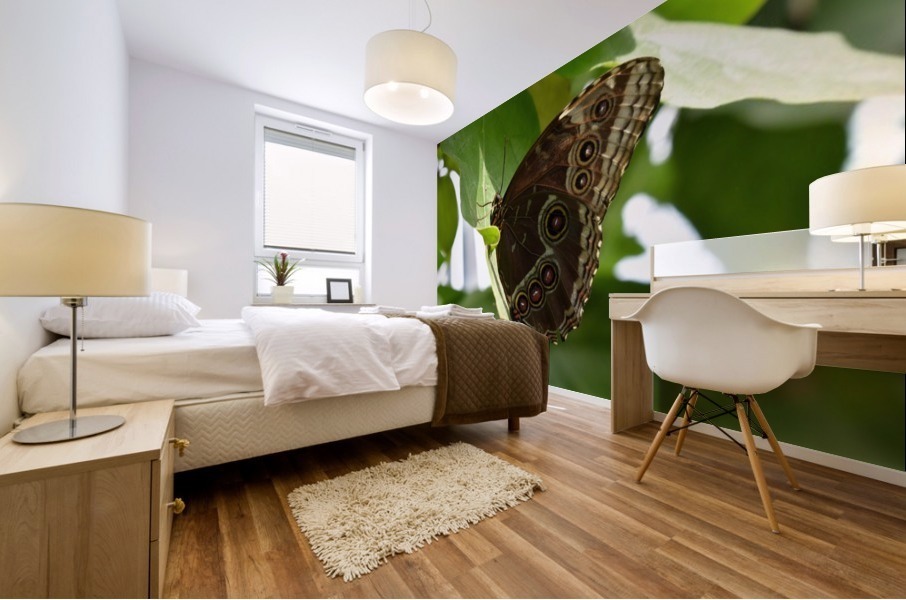 Butterfly Wings Mural print