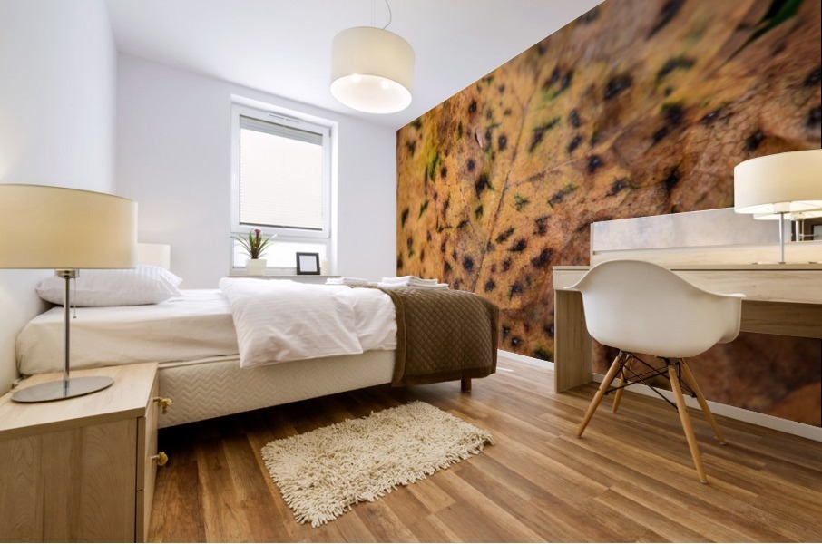 Spotted Autumn Leaf Mural print